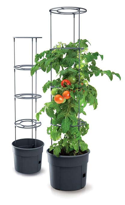 Tymar Tomatentopf mit Rankhilfe und Wasserspeicher, 5er-Set, 40 cm