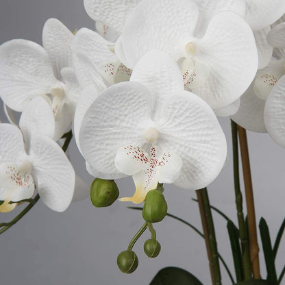 Briful Künstliche Orchidee Phalaenopsis, 44 cm, im Keramiktopf