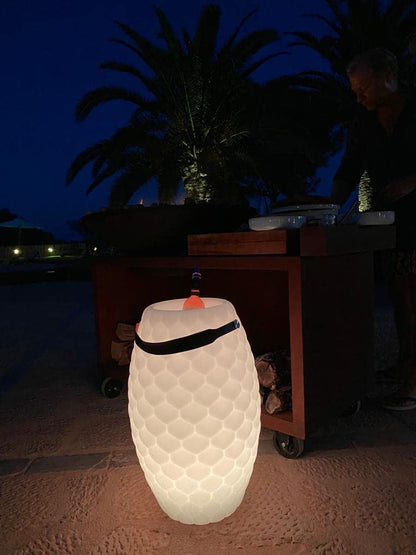The JOOULY 50 Limited Bluetooth Lautsprecher Getränkekühler