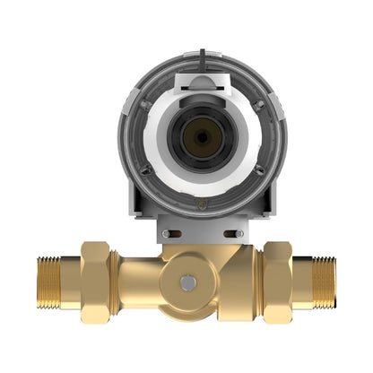 Aqmos Rückspülfilter Hauswasserfilter 1 Zoll mit Druckminderer