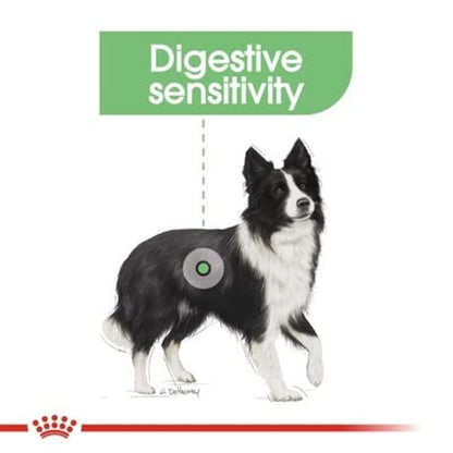 Royal Canin Digestive Care Medium - Hundefutter - 12 kg