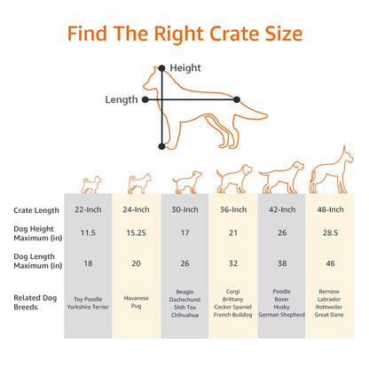 Amazon Basics Zusammenklappbarer Hundekäfig – Schwarz L (91 cm)