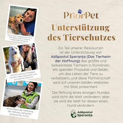 Hunderampe Auto Teleskop Klappbar Alu – Schwarz für grosse Hunde