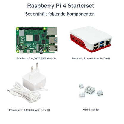 Raspberry Pi 4 Model B Entwickler-Starterkit mit 4GB RAM