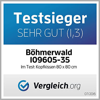 LINEA by böhmerwald cosy Daunen-Kopfkissen - extraweich 80x80