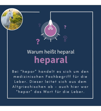 navalis heparal Pferde Leber Pellets Diät-Ergänzung 1 kg
