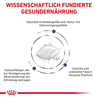 Royal Canin Expert DENTAL Katzenfutter 3 kg für ausgewachsene Katzen