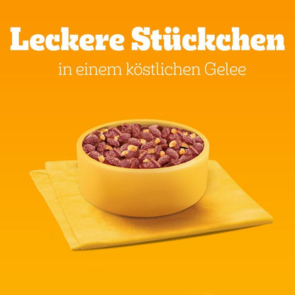 Pedigree Dogcare Hundefutter Junior Chunks in Gelee 84 x 100 g