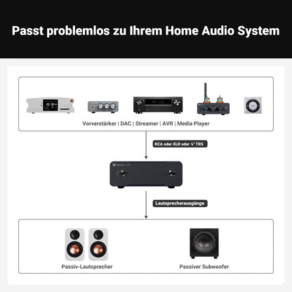 Fosi Audio V3 Mono Leistungsverstärker 240W – TPA3255