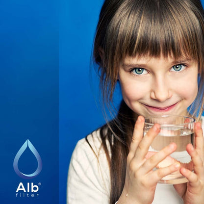 Alb Filter Active Plus Trinkwasserfilter Kartusche 2er-Pack AR1242