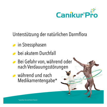 Boehringer Ingelheim Canikur Paste Ergänzungsfutter - Doppelpack 2x60ml