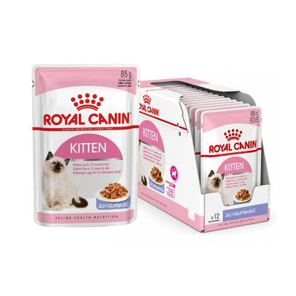 Royal Canin Kitten Nassfutter in Gelee, Doppelpack 2 x 12 x 85 g
