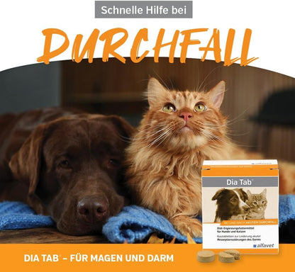 alfavet Dia Tab Kautabletten gegen Durchfall 60 Stk.