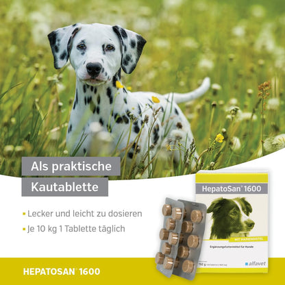 Alfavet HepatoSan 1600 Nahrungsergänzung Hunde - 120 Tabletten