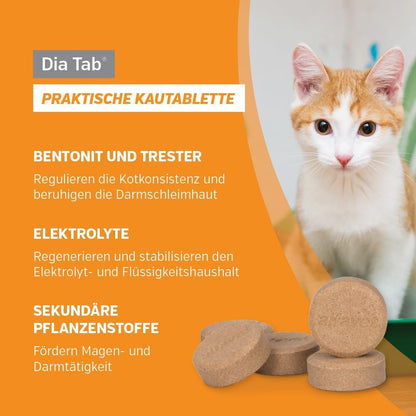 alfavet Dia Tab Kautabletten gegen Durchfall 60 Stk.