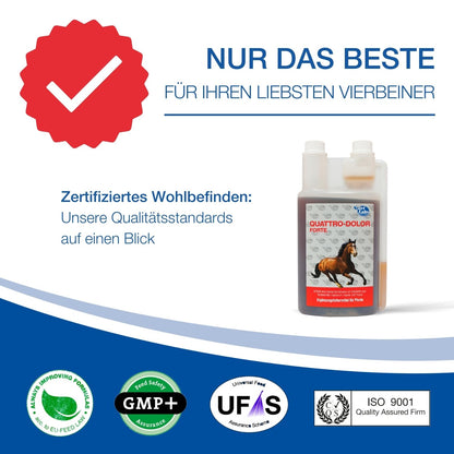 NutriLabs Quattro-Dolor forte Bewegungssaft Teufelskralle Pferd 1 L
