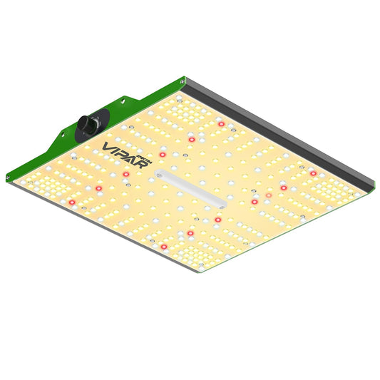 VIPARSPECTRA P1000 LED Grow Lampe 2024 Vollspektrum: Rechteckiges LED-Panel zur Vollspektrum-Pflanzenbeleuchtung in der Indoor-Kultivierung.