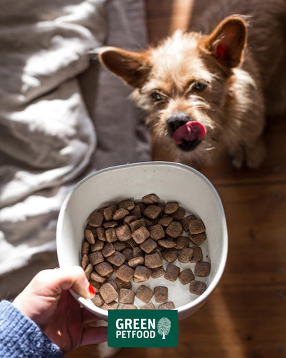 Green Petfood VeggieDog Trockenfutter Kartoffel & Erbse 10 kg