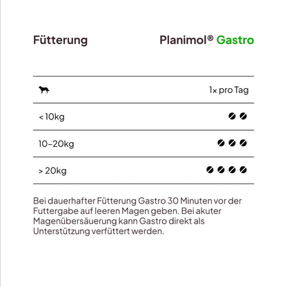Planimol Gastro Magensnack für Hunde, 90 Tabletten, 100% natürlich