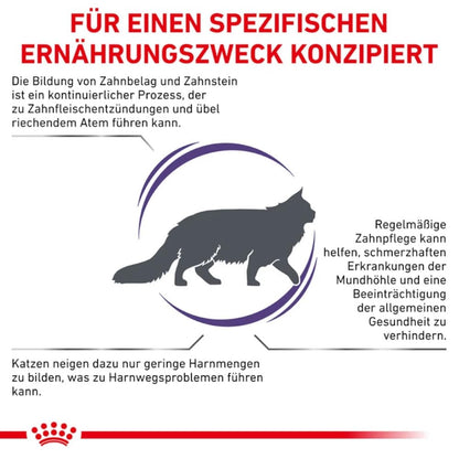 Royal Canin Expert DENTAL Katzenfutter 3 kg für ausgewachsene Katzen