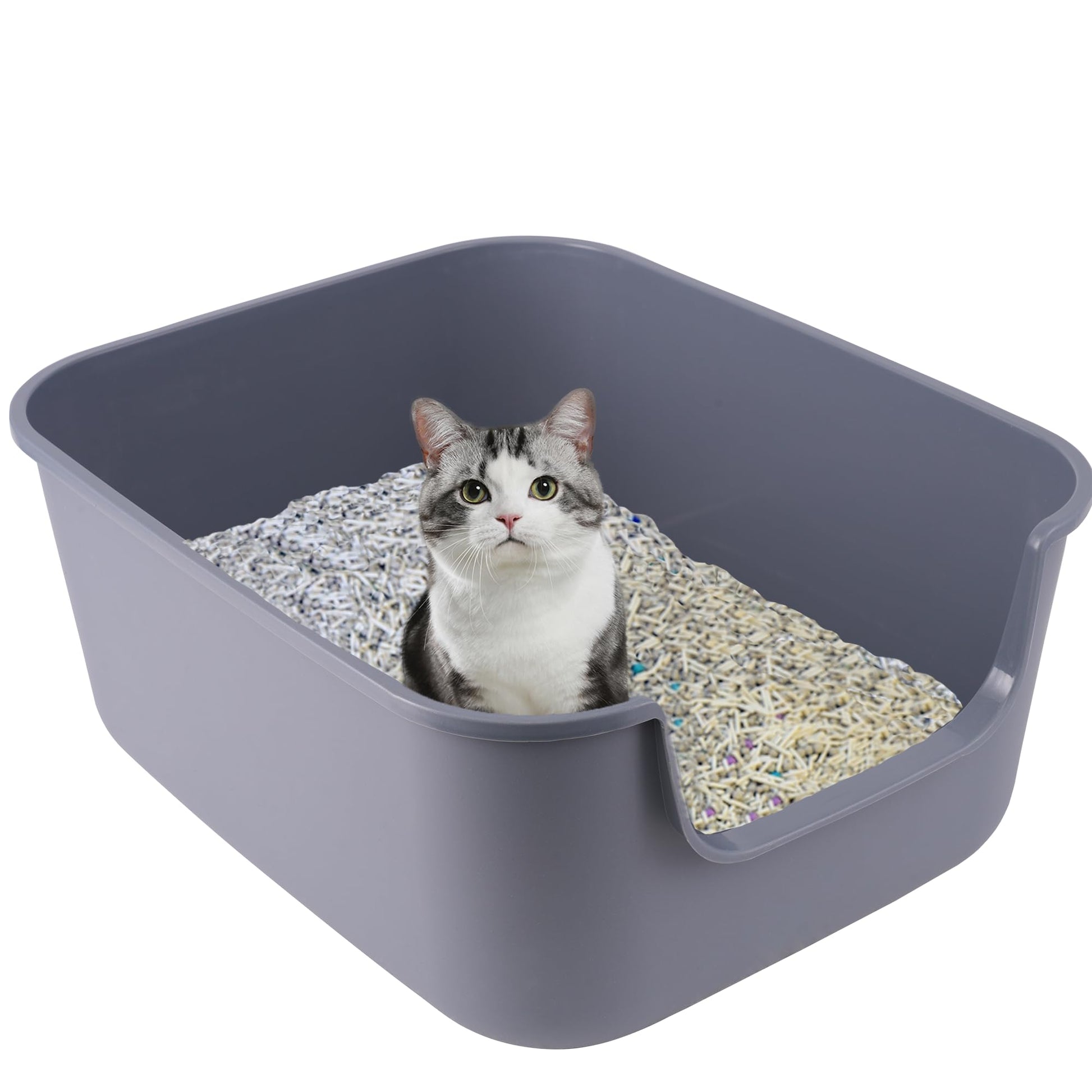 Suhaco Katzenklo mit hohem Rand und niedrigem Einstieg, Grau M – Katzentoilette mit verstecktem Griff