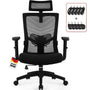 Daccormax Bürostuhl ergonomisch, Mesh-Drehstuhl mit Kopfstütze und Lendenwirbelstütze