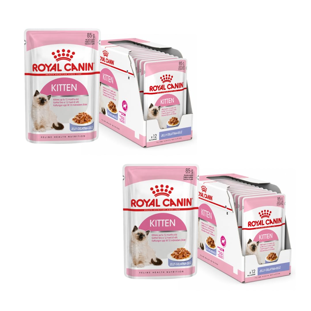 Royal Canin Kitten Nassfutter in Gelee, Doppelpack 2 x 12 x 85 g, für Katzenwelpen