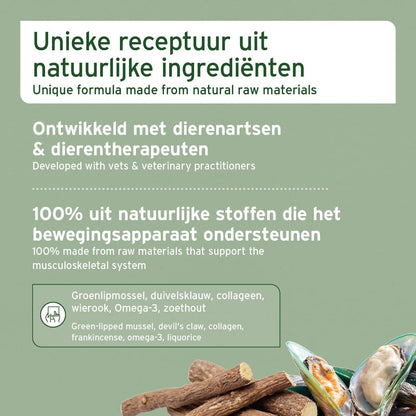 AniForte AgilityVet Gelenktabletten für Hunde, 300 Stück, getreidefrei