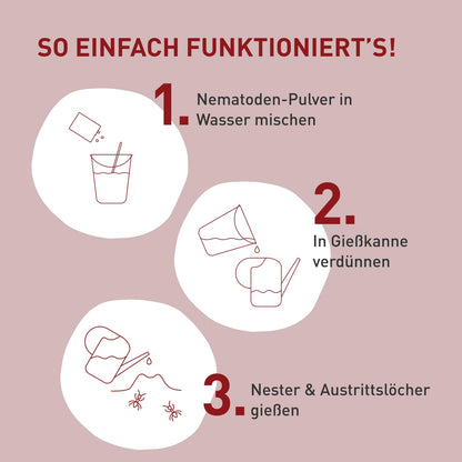 Plantura SF-Nematoden: Biologische Ameisenbekämpfung – 100 Mio