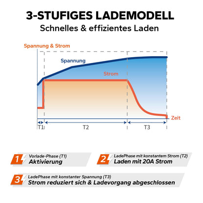 LiTime LiFePO4 Batterieladegerät 14,6V 20A mit Anderson Stecker