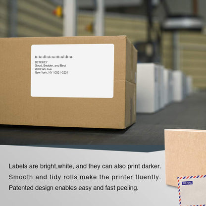 BETCKEY Etiketten kompatibel DYMO S0904980 - 10 Rollen 104x159mm