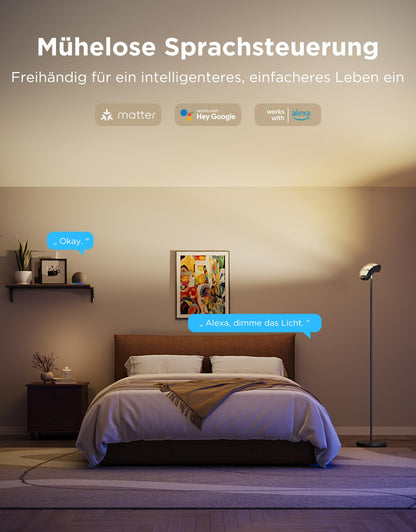 Govee Deckenfluter LED Stehleuchte – RGBWWIC Matter Schwarz 170cm