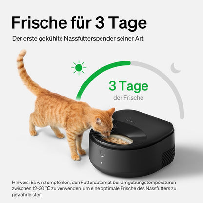 PETLIBRO Nassfutterautomat Katze mit Smart Kühlung