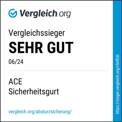 ACE Absturzsicherung Set 1-Punkt-Sicherheitsgurt mit Auffanggerät
