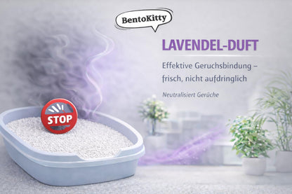 BentoKitty Katzenstreu Lavendel, klumpend, Bentonit, 30 L, 3er Pack
