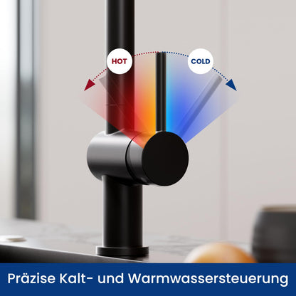 CECIPA Küchenarmatur mit Brause, 360° schwenkbar, Edelstahl, schwarz