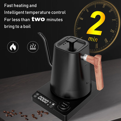 SwissKettle Schwanenhals Wasserkocher – 1 L, Warmhaltefunktion