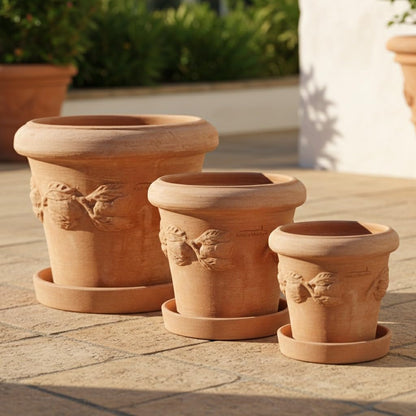 Teramico Blumentopf Terrakotta Conca Limoni mit Untersetzer 25 cm