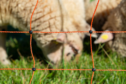 horizont easyLine Elektronetz Schafzaun 90cm/50m - 14 Pfähle