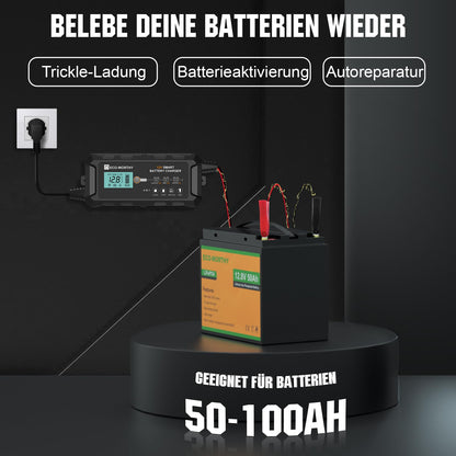 ECO-WORTHY 10A 12V LiFePO4 Autobatterie Erhaltungsladegerät