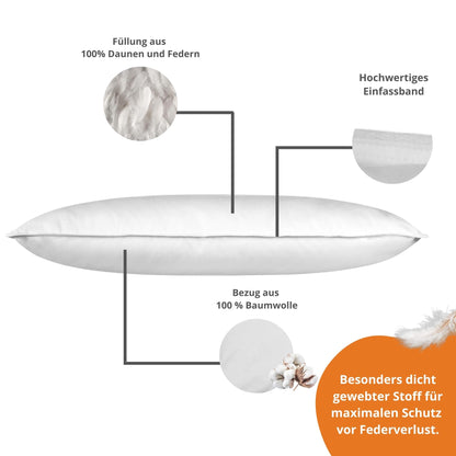 sleepling Daunenkissen 80x80 cm 2er Set mit Baumwollbezug