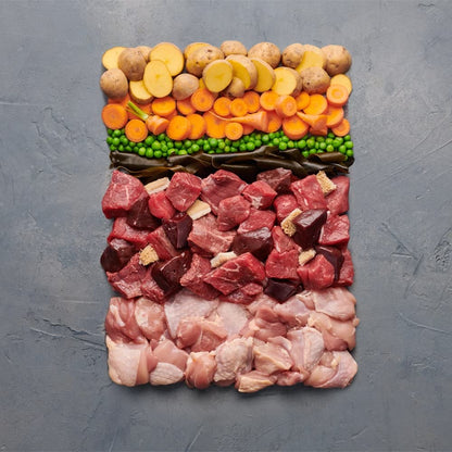 Irish Pure Premium Nassfutter Weiderind getreidefrei 12x 390g