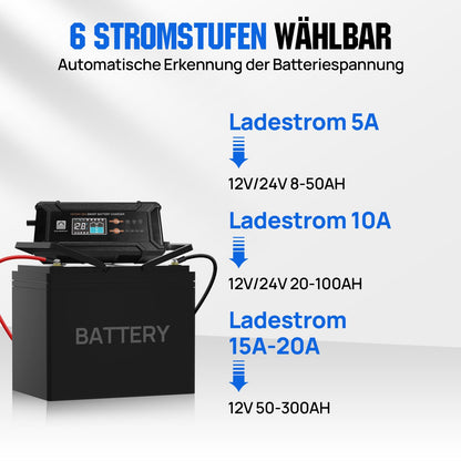 ECO-WORTHY 12V/24V 20A LiFePO4 Batterieladegerät Multi-Current