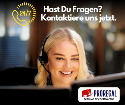 PROREGAL Taurus 250 Profi-Treppensteiger Sackkarre - Klappbar