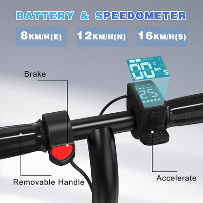EVERCROSS E6 Elektroroller Kinder 6-12 J. – Leichter E-Scooter 7-farbig
