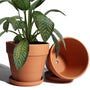 vensovo Terrakotta-Blumentopf 20 cm mit Untersetzer, 2er-Set aus Ton mit Ablaufloch