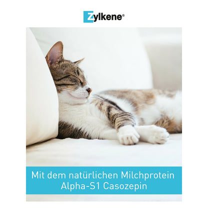 Zylkene 75 mg Kapseln – 100 Stk. für Katzen und kleine Hunde