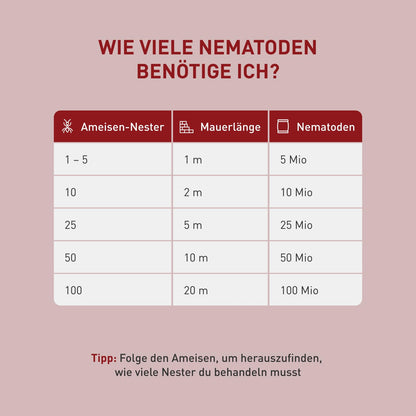 Plantura SF-Nematoden: Biologische Ameisenbekämpfung – 100 Mio