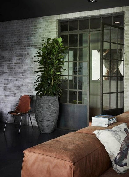 Capi Europe Gefäss Elegant Deluxe Rib NL - 51x72 Elfenbein
