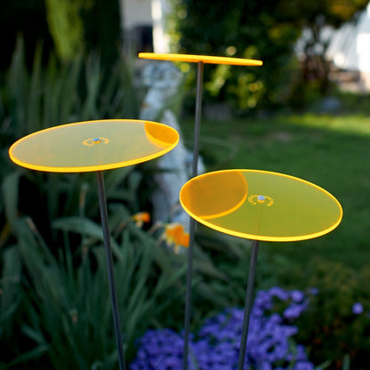 Cazador-del-sol ® Medio tres Sonnenfänger-Scheiben - 3er-Set Gelb
